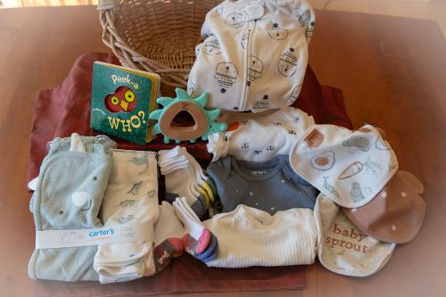 Baby Basket #2 - Winning Bid $75 L.B.